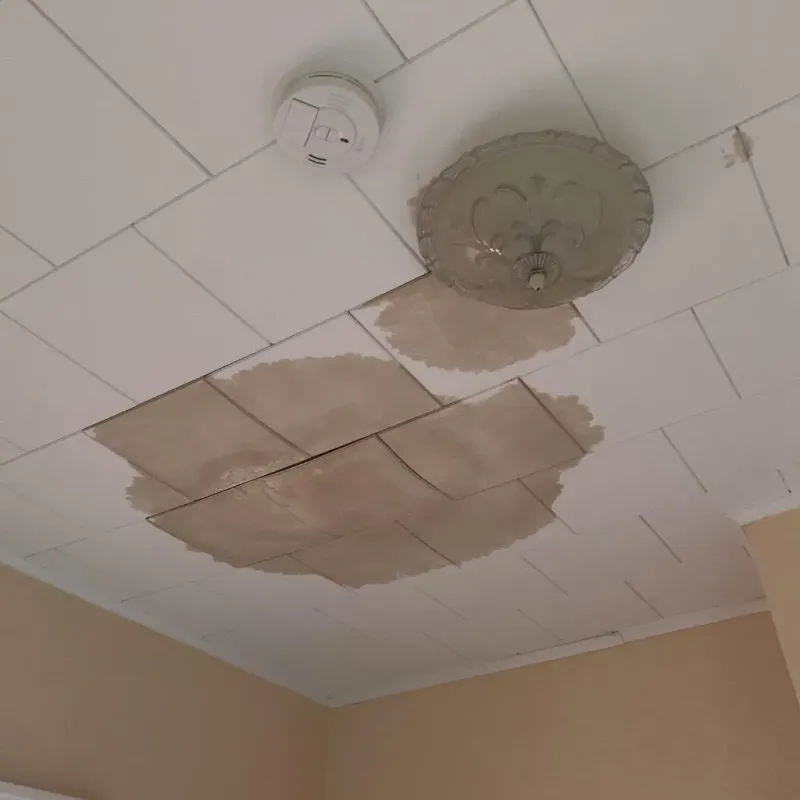 Ceiling Water Damage Repair in Quitman County, MS