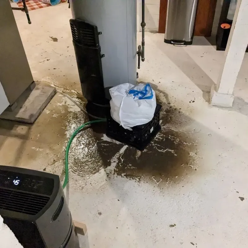 Sewage Backup Cleanup Service in Quitman County, MS